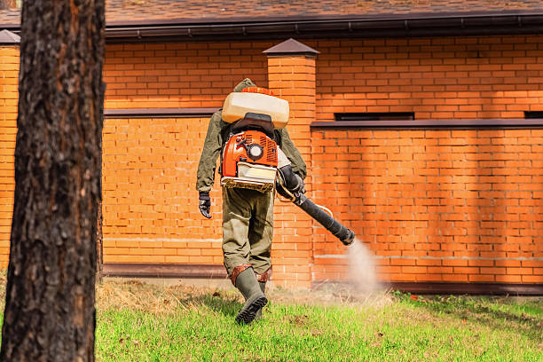 Bed Bug Clearance Verification and Documentation in Mantua